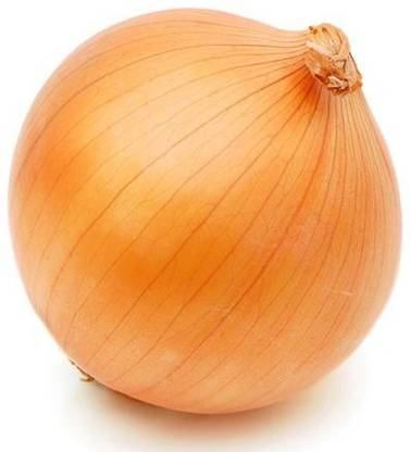 VibeX Onion/Kanda(Orange) Seed