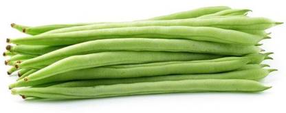 VibeX White Beans Seed