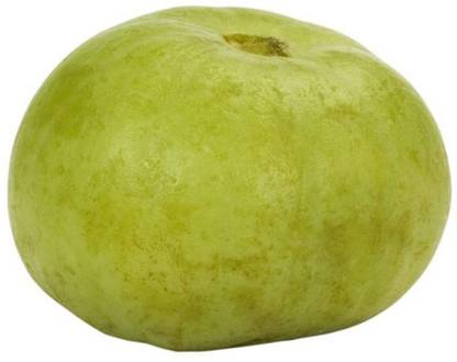 MKR Enterprises Tinda Seed