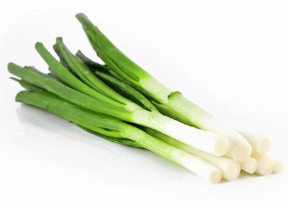 VibeX Spring Onion Seed