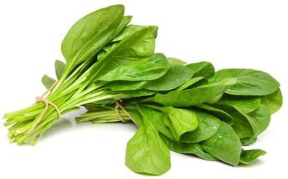 VibeX Spinach Seed