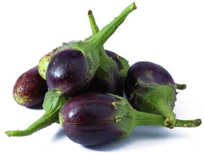CYBEXIS PAU-45 - Brinjal Cluster Small Eggplant - (1350 Seeds) Seed