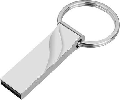 PANKREETI PKT1249 Steel Key Chain 256 GB Pen Drive Compatible with Netbook, Gaming Console, Desktop Computer, Audio Player, Television, Laptop USB 2.0 Metal Case