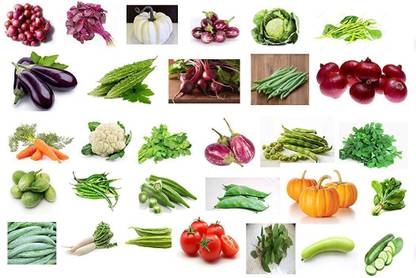 Aero Seeds 30 Varieties Vegetable Seeds Combo 1599+ seeds Seed
