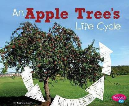 Explore Life Cycles an Apple Trees Life Cycle