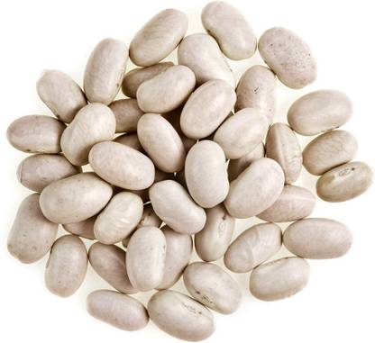 Futaba Magic Growing Message Bean - 5 Pcs Seed