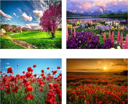 Nature Posters Combo- Wall Poster- Scenery Poster Combo For Room Decoration/Offices/Hotels/Hostels Paper Print