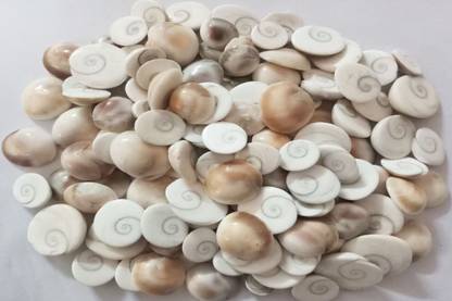UNIQ WORLD WIDE Gomti Chakra/Gomati Chakra (1 kg) Stoneware Yantra