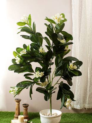 FOURWALLS Artificial Frangipani Champa Plant Without Pot for Home and Office Décor (120 cm, Multicolor) Artificial Plant