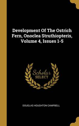 Development Of The Ostrich Fern, Onoclea Struthiopteris, Volume 4, Issues 1-5