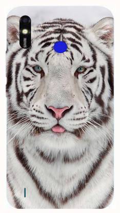 PRINT EVERYTHING Back Cover for Tecno Spark Go Plus