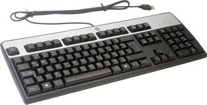 HP KB-0316 Wired USB Standard Desktop Keyboard Compatible with Desktop, Laptop, Mac