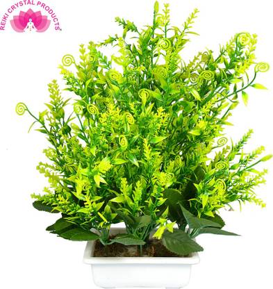 Crystu Beautiful Green Red Artificial Bonsai Tree Plant With Pot For Indoor Office Home Decor Showpiece In India - Home Decor Plants Trees Crystu Beautiful Green Red Artificial Bonsai Tree Plant With Pot For Indoor Office Home Decor Showpiece In India - Home Decor Plants Trees