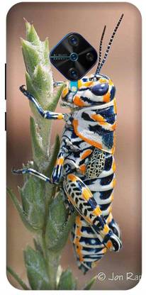 TPM Back Cover for Vivo S1 Pro Printed Grasshopper Mobile Back Cover