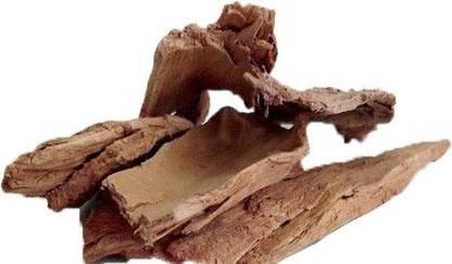 Shree Poojan Terminalia arjuna Seed