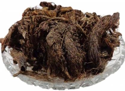 Nature Green JATAMANSI ROOT, BALCHAD, JATAMASI JADD, NARDOSTACHYS JATAMANSI Seed