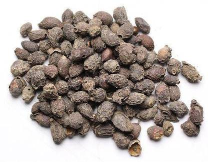Nature Green JAAMUN SEEDS, JAMUN GUTHLI, SYZYGIUM CUMINI Seed