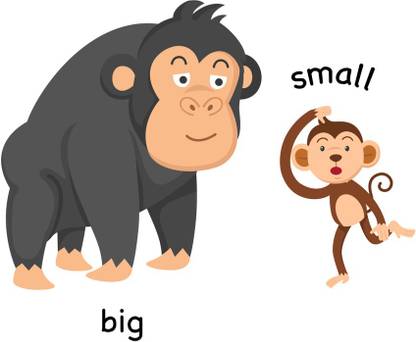 difference between small and big learning charts for kids premium poster for kids room(no need tape,size:12x18 inch) Paper Print