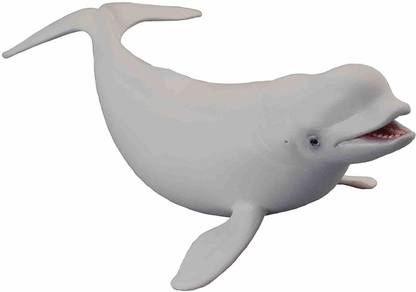 COLLECTA Sea Life Beluga Whale Toy Figure - Authentic Hand Painted Model