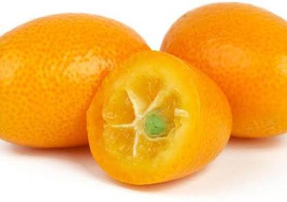 Green India Seeds green seeds brand Kumquat fruits fresh hybrid seeds Seed