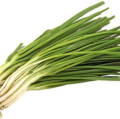 Airex Scallions Seed