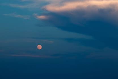 the evening sky |moon quotes Paper Print