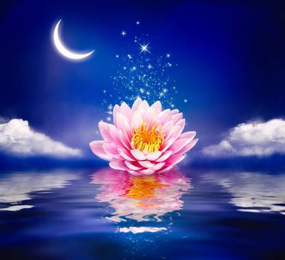 Beautiful magic flower on water |moon Paper Print