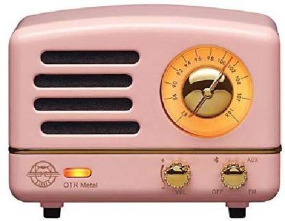 Muzen Audio Metal Portable Wireless High Definition FM Radio and Bluetooth 5 W Bluetooth Speaker