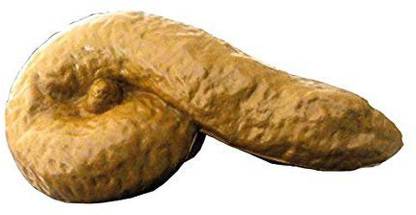 PMW Wonderful Prank Item. Fun Item, April Fool Item, Prank Gift Item, Prank Birthday Gift Item - Fake Potty prank toy Gag Toy