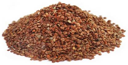 Nature Green TALMAKHANA SEEDS, TAAL MAKHANA BEEJ, TAAL MAKHANA BEEJ, ASTERACANTHA LONGIFOLIA Seed