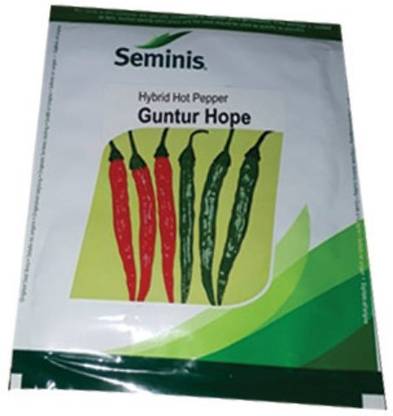 seminis Chili Seed Seed