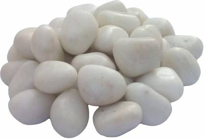 vanni obsession Decorative Aquarium and Vase Fillers Pebbles for Garden & Home Decor (1 KG) White Polished Round Marble Pebbles
