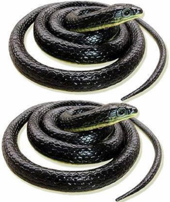 Toy snake prank clearance