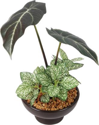 PolliNation Alocasia Bonsai Artificial Plant  with Pot