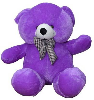 Disnep TED  - 80 cm