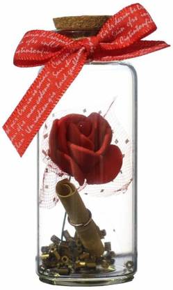 NP Personal Message Bottle (Pack of 2) Decorative Bottle