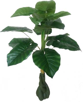 Kaykon Artificial Money Plant Green Tree For Home Decor 12 Leaves 3 Feet 36inch 90cm In India - Home Decor Plants Trees