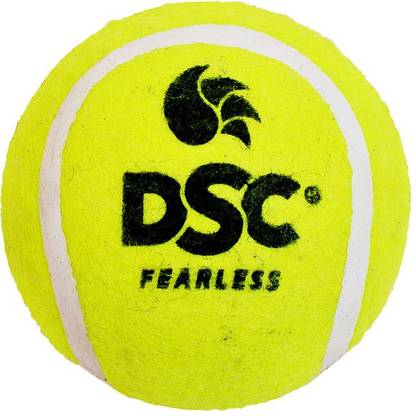 DSC Swing Bolt Cricket Training Ball