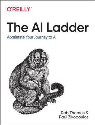 The AI Ladder