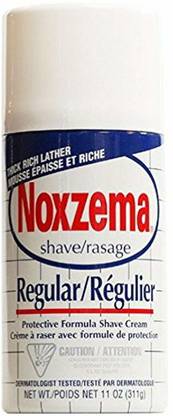 Noxzema Shave Cream Regular