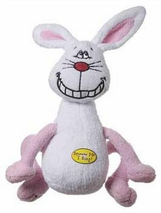 Multipet Polyester Plush Toy For Dog