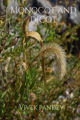 Monocot and dicot