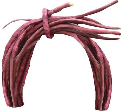 Redoak Red CowPea seeds - 10 Pcs Seed