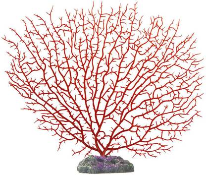 Pawliss Laterite Planted Substrate