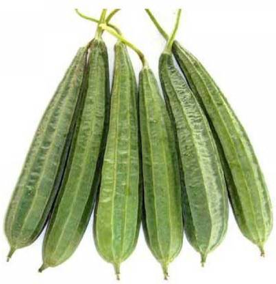 VibeX Ridge-Sponge-Gourd Seed