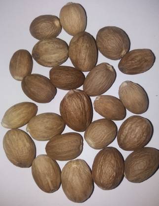 kerala natural spices NUTMEG SEED