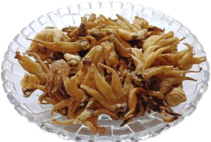 ORGANIC HERBS SALAM PANJA, SALAB PANJA Seed