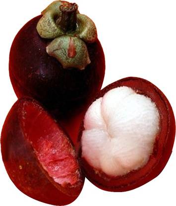 Redoak Organic Tropical Mangosteen Seeds - 10 Pcs Seed