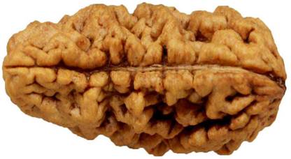 ReBuy 1 mukhi rudraksha original with certified,1 Mukhi Rudraksh with Certificate, 1 mukhi rudraksha original certified Wood