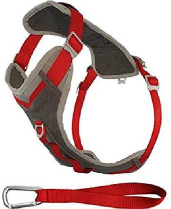 Kurgo Dog Harness & Leash